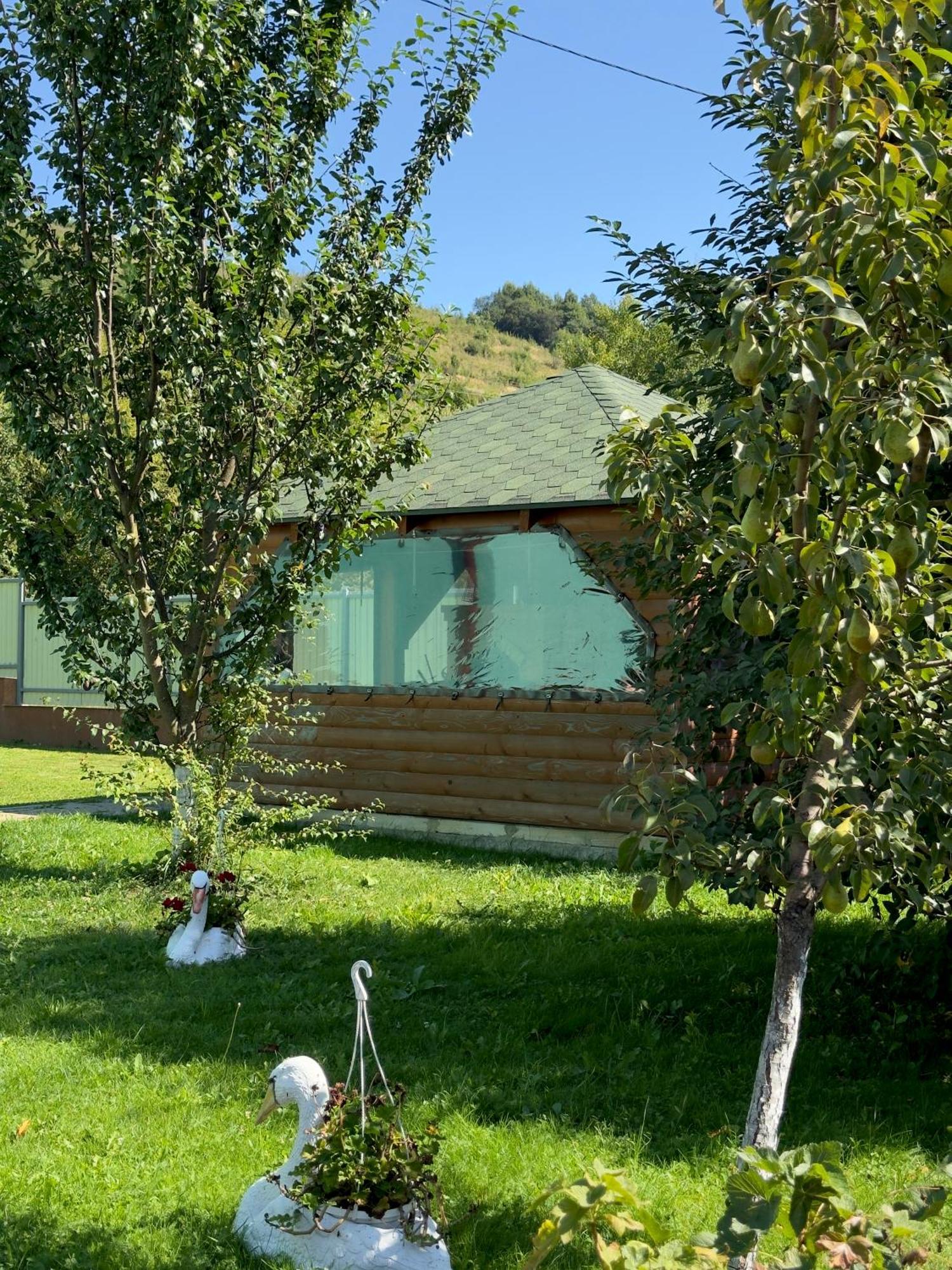 Під Боржавою 볼로베츠 외부 사진