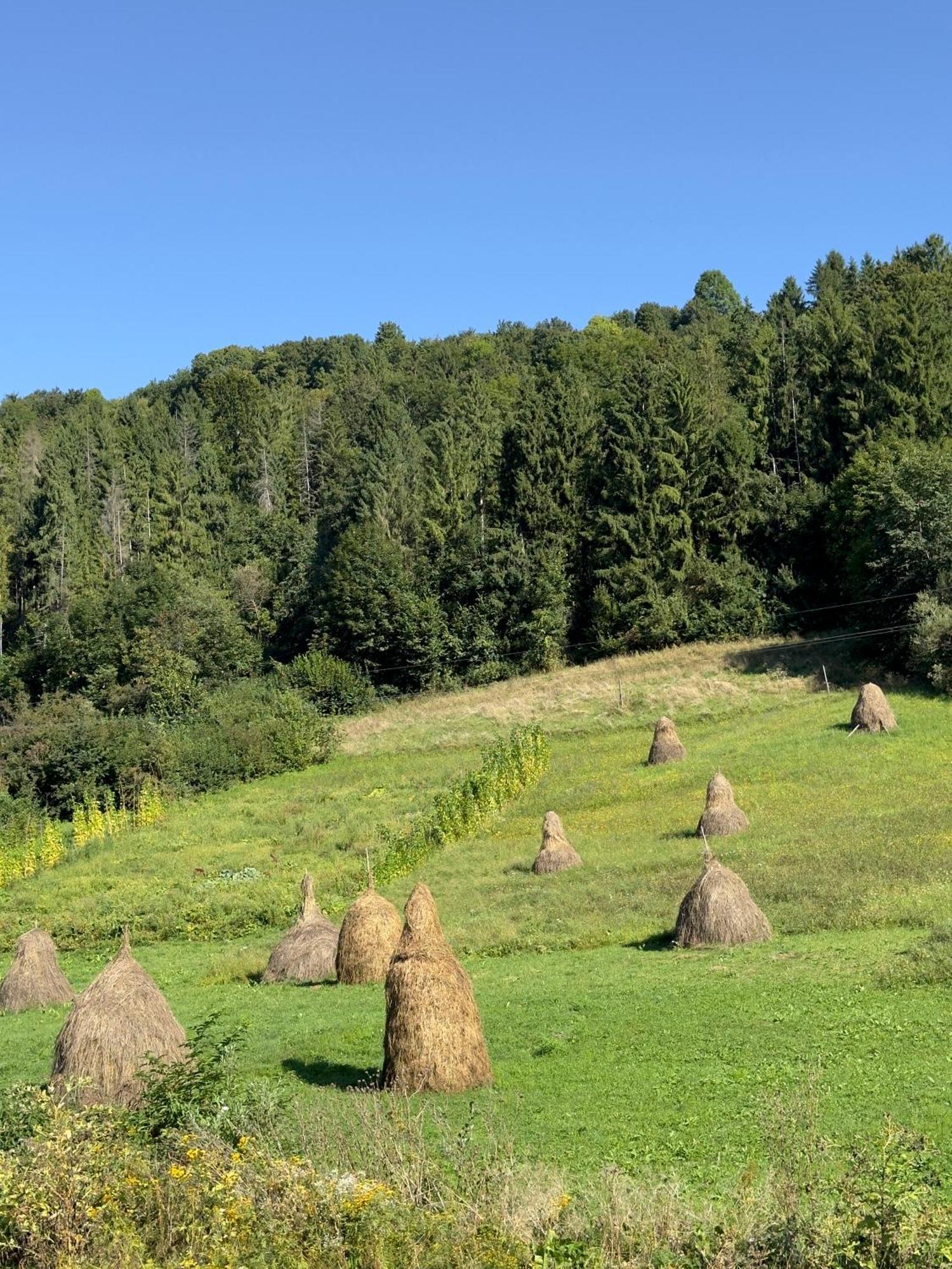Під Боржавою 볼로베츠 외부 사진